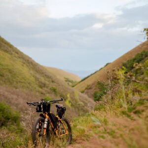 C7039E09-CCEC-4969-AF99-76DE672760A2