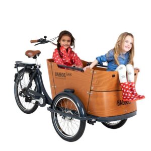 babboe-cargobike-trasporto-bambini-4-bambini-bambini-elettrica-04